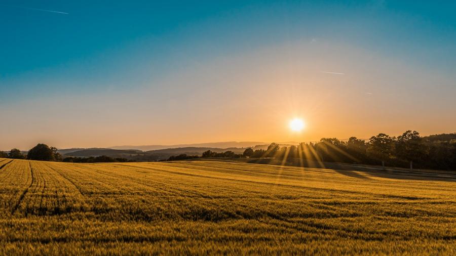 Green open countryside used as a sample plot photograph